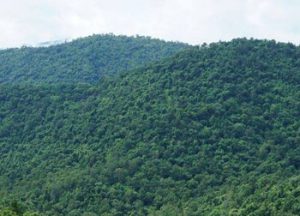 Hill Station Tours in Odisha