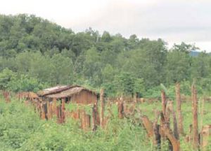 village-tours-in-odisha