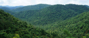 daringbadi-hill-station