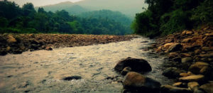 simlipal-national-park